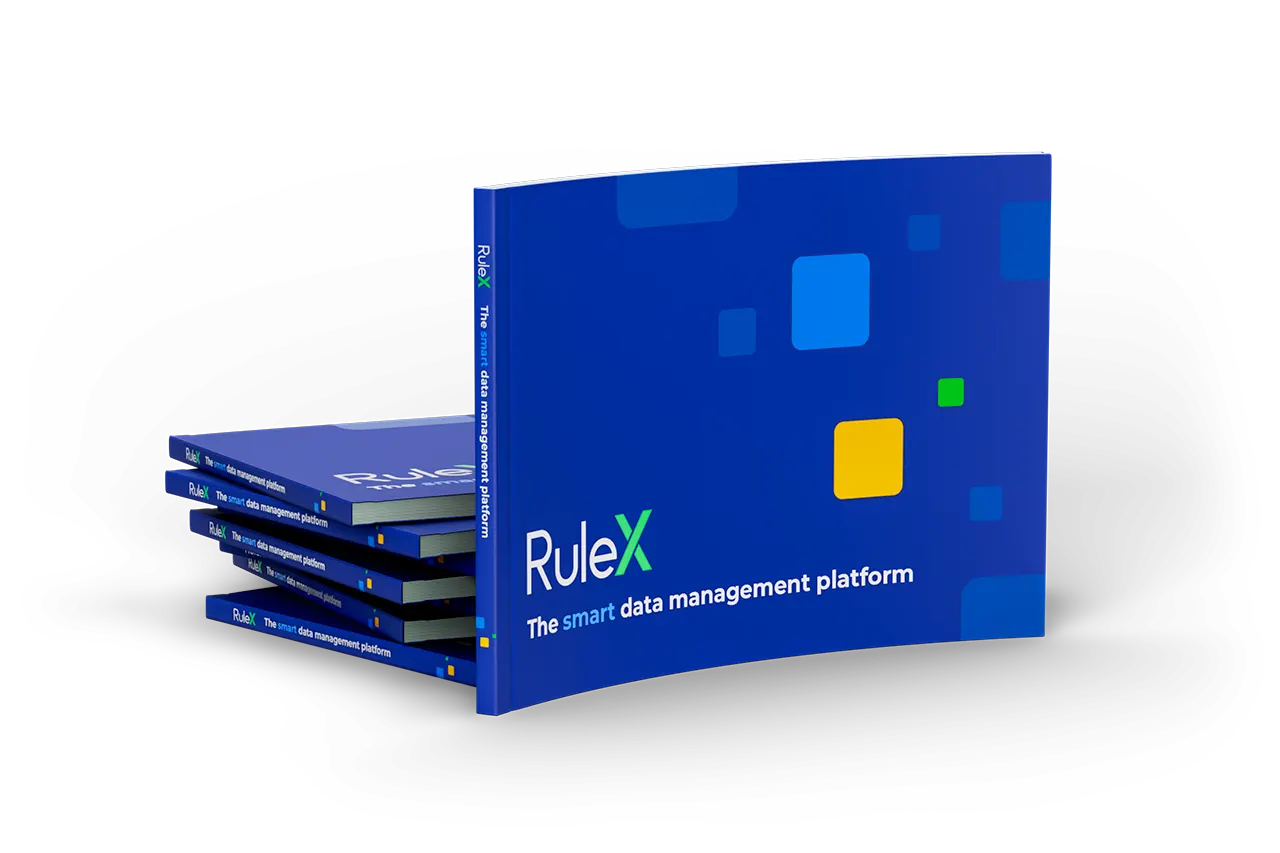 Rulex E-book